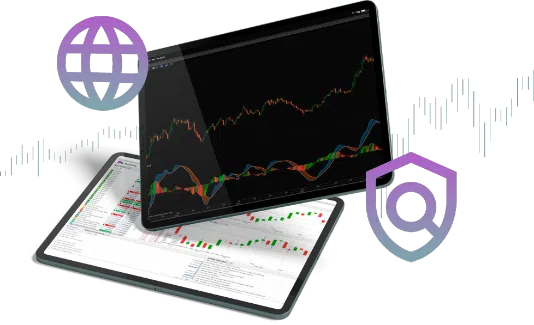 Bisontrade broker plataforma de trading